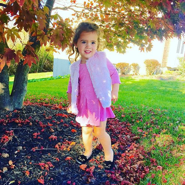 What Blaire Wore 11/8 – Shop the Look